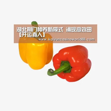 湖北荆门种养新模式 涌现高效田【开运真人】(图1) 开运竞猜