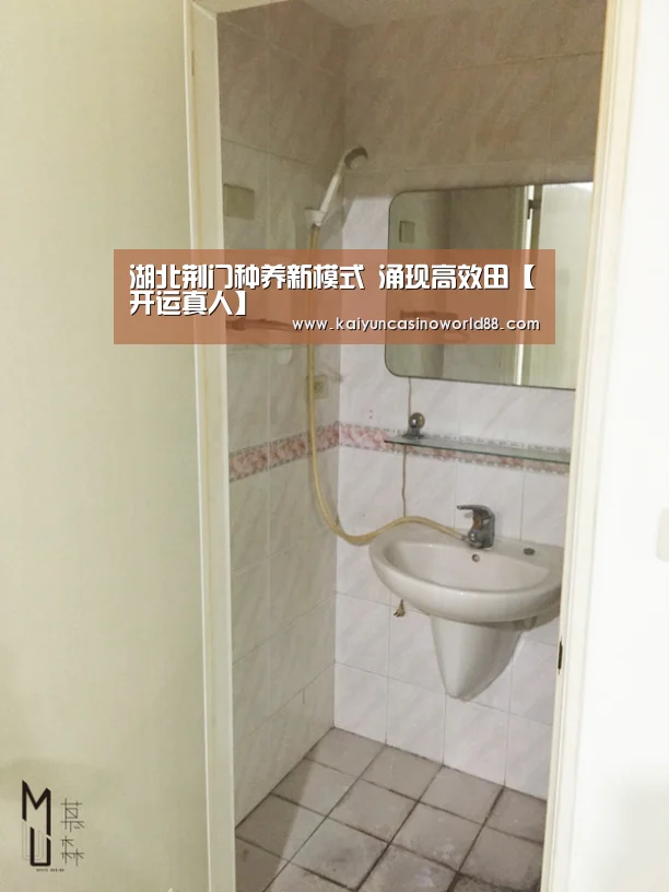 湖北荆门种养新模式 涌现高效田【开运真人】(图2) 开运真人