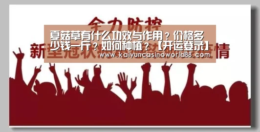 开运直播