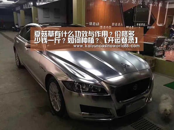开运直播