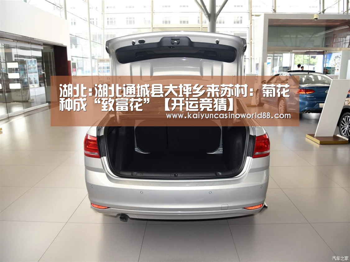 开运登录