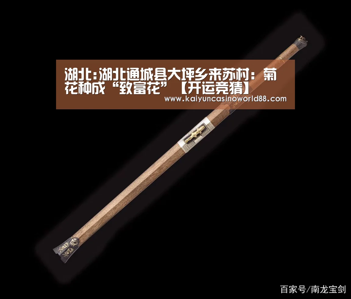 开运真人