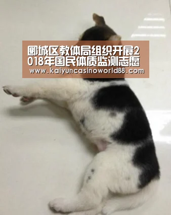 开运真人