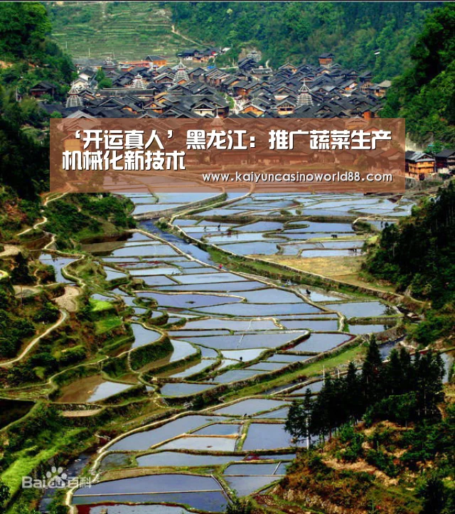 ‘开运真人’黑龙江:推广蔬菜生产机械化新技术(图1) 开运竞猜