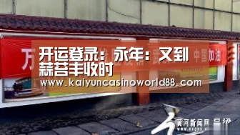 开运登录:永年:又到蒜苔丰收时(图1) 开运真人