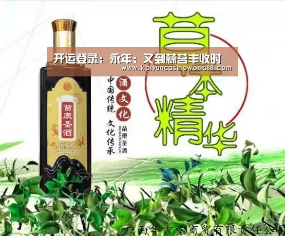 开运登录:永年:又到蒜苔丰收时(图4) 开运直播
